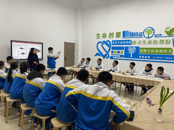 11.创意生命4.jpg