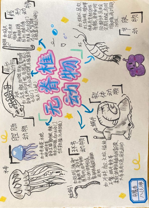 640 (8).png