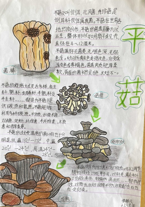 640 (4).png