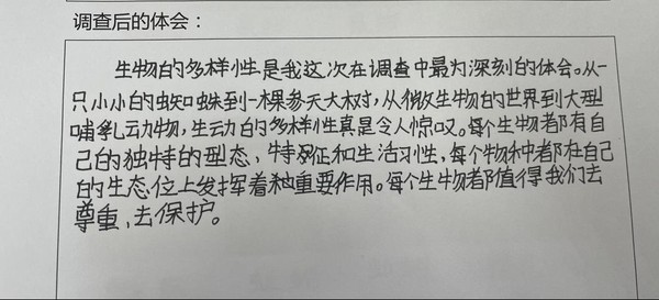 展示2.png