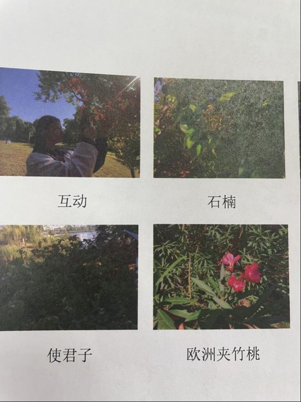 展示5.png
