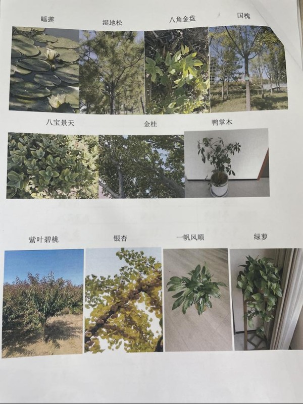 展示9.png