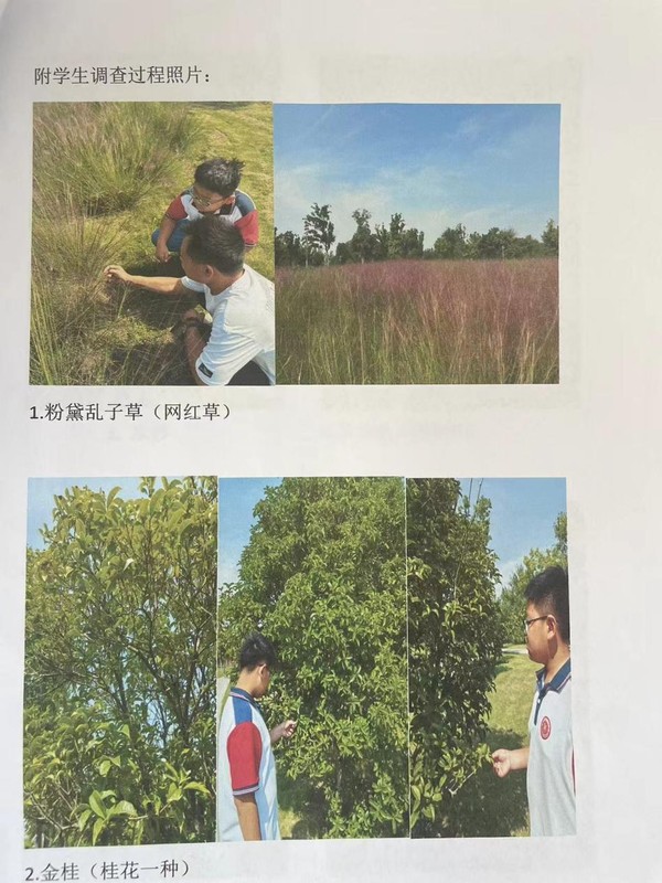 展示11.png